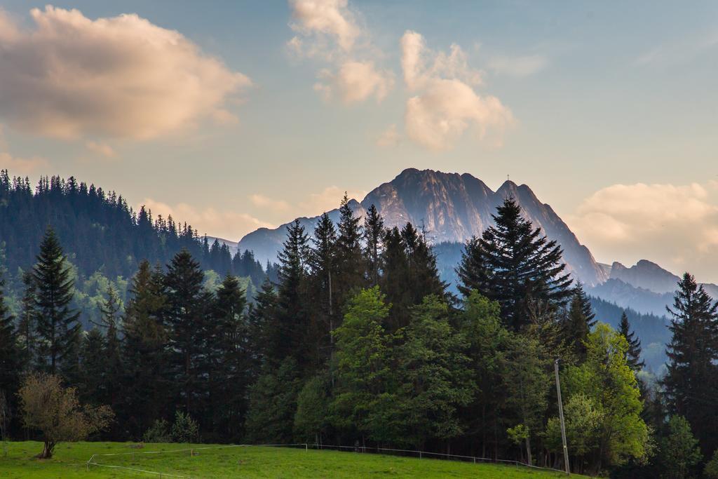 Willa Stachoniowka 2 Zakopane Exterior foto